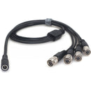 DigitalFoto Solution Limited AR96-DC DC Female to 4 Hirose Connectors Cable for Sound Devices 688 and 788T (27.5")