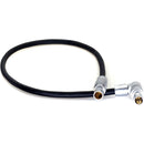 DigitalFoto Solution Limited AR97 4-Pin to 5-Pin LEMO-Type Power/Data Cable for ARRI TRINITY 2 to Starlite Monitor (1')