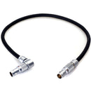 DigitalFoto Solution Limited AR97 4-Pin to 5-Pin LEMO-Type Power/Data Cable for ARRI TRINITY 2 to Starlite Monitor (1')