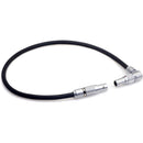 DigitalFoto Solution Limited AR97 4-Pin to 5-Pin LEMO-Type Power/Data Cable for ARRI TRINITY 2 to Starlite Monitor (1')