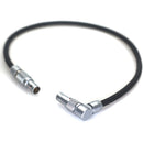 DigitalFoto Solution Limited AR97 4-Pin to 5-Pin LEMO-Type Power/Data Cable for ARRI TRINITY 2 to Starlite Monitor (1')