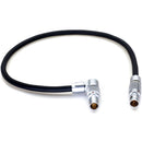 DigitalFoto Solution Limited AR97 4-Pin to 5-Pin LEMO-Type Power/Data Cable for ARRI TRINITY 2 to Starlite Monitor (1')