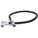 DigitalFoto Solution Limited AR97 4-Pin to 5-Pin LEMO-Type Power/Data Cable for ARRI TRINITY 2 to Starlite Monitor (1')