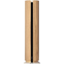 Bang & Olufsen Beosound Emerge Compact Wi-Fi Home Speaker (Gold Tone Light Oak)