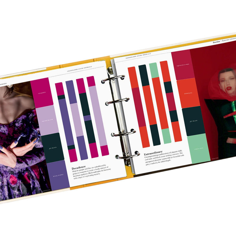 Pantone PANTONEVIEW Color Planner Autumn | Winter 24/25