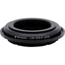 Rayqual Lens Mount Adapter for L39 Screw Mount Lens to Canon RF-Mount Camera