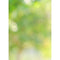 Westcott X-Drop Canvas Backdrop (Forest Bokeh, 5 x 7')