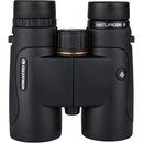 Celestron 10x42 Nature DX Binoculars (Black)