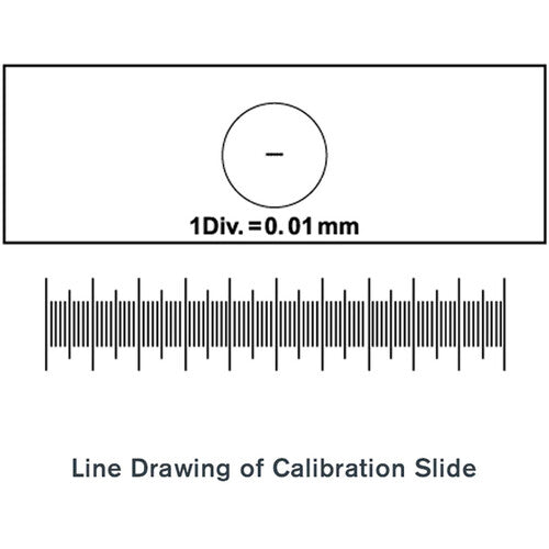 Celestron Microscope Calibration Slide
