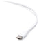 C2G USB-C Male to Lightning Male Sync and Charging Cable (10', White)