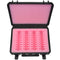 DORO Cases HDVAULT Storage Case for 36 x 2.5" SATA / PATA / IDE Hard Drives