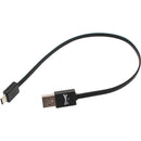 STYPE Dongle for StypeLand