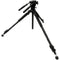 Oberwerk 4000 Tall Tripod/Head