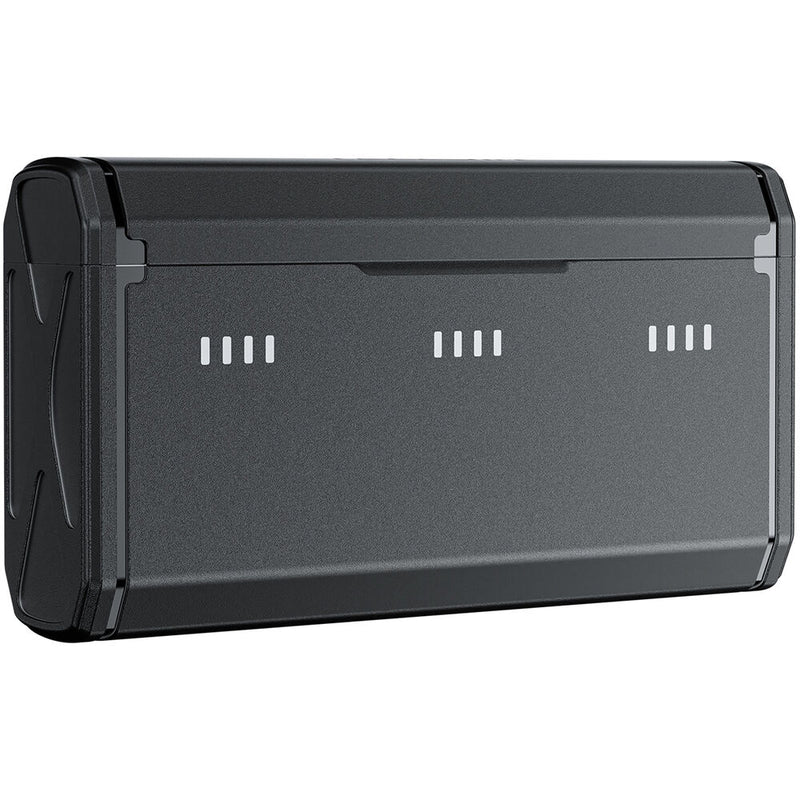 TELESIN NP-BX1 Portable Charging Case