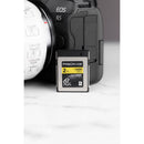 ProGrade Digital 2TB CFexpress 4.0 Type B Gold Memory Card (2-Pack)