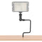 CAMVATE Trail Camera Tree Mount with Double Ball Arm