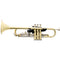 Gator Horizontal Wall Hanger for Trumpet (Black)