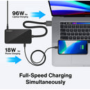 iVANKY 12-Port Dual USB-C Docking Station