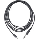 Pearstone 3.5mm Mini to 1/4" Male Stereo Audio Cable (10')