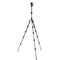 3 Legged Thing Leo 2.0 Tripod with AirHed Pro Lever Ball Head (Darkness)