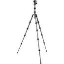 3 Legged Thing Leo 2.0 Tripod with AirHed Pro Lever Ball Head (Darkness)