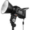 Yongnuo YNRAY100 Bi-Color LED Monolight