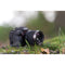 Samyang Cine AF 100mm T2.3 FE Lens (E-Mount)