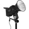 Yongnuo YNRAY100 Daylight LED Monolight (Kit Version)