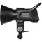 Yongnuo YNRAY100 Daylight LED Monolight (Kit Version)