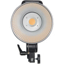 Yongnuo YNRAY100 Daylight LED Monolight (Kit Version)