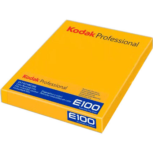 Kodak Professional Ektachrome E100 Film Pack (8 x 10" Sheets, 10-Pack)