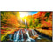 Sharp PN-ME432 43" UHD 4K HDR Commercial Monitor