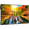 Sharp PN-ME432 43" UHD 4K HDR Commercial Monitor