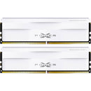 Silicon Power 64GB Zenith 6000 MHz DDR5 Desktop Memory Kit (2 x 32GB, White)
