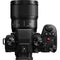 Panasonic Lumix S 100mm f/2.8 Macro Lens (L-Mount)