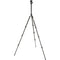 3 Legged Thing Patti 2.0 Magnesium Travel Tripod with AirHed Mini Ball Head (Darkness)