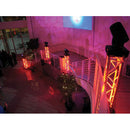 Eliminator Lighting MEGA FLAT PAK8 EP Kit with 8 Mega Par Profile EP LED Pars, 7 DMX Cables, and Carrying Bag