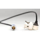 Ambient Recording ACN-TC-RCP-R Lockit Timecode and Metadata Cable for RED Cameras