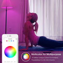 TP-Link KL125 Kasa Smart Wi-Fi Light Bulb (Multicolor, 3-Pack)