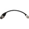 Ambient Recording UMP III Audio Output Cable TA3F to 3-Pin Screw Locking (Lemo Compatible) for Analog Transmitters