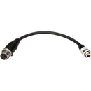 Ambient Recording UMP III Audio Output Cable with TA3F to LEMO 3-Pin Connectors for Digital Transmitters