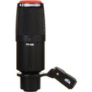 Heil Sound PR 30 Dynamic Supercardioid Microphone Kit with Shockmount and Boom Arm (Matte Black)
