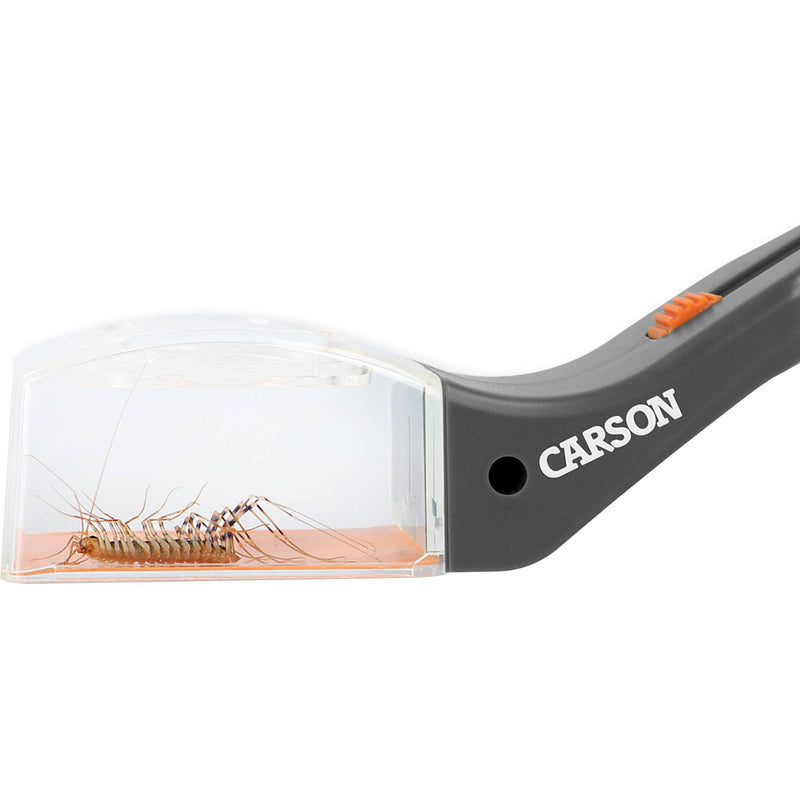 Carson Humane Bug Catcher Tool for Insect Catch-and-Release