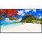 Panasonic SQ2HW Series 86" UHD 4K Commercial Monitor
