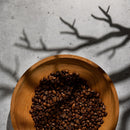 V-FLAT WORLD Tree Branches Shadow Board