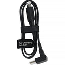 Hollyland USB-C to Lightning Male Cable (1')