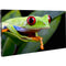 American DJ WMS2 2.6mm Pixel Pitch LED Video Wall Panel