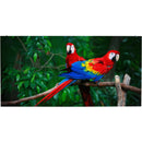 American DJ WMS2 2.6mm Pixel Pitch LED Video Wall Panel