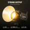 Neewer Flash Tube for Q4 TTL Flash Strobe