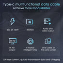 RVP+ 3' USB-C 3.2 Gen 2x2 Cable (2-Pack)